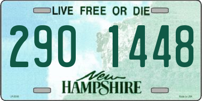 NH license plate 2901448