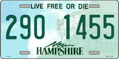 NH license plate 2901455