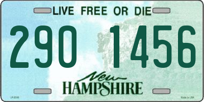 NH license plate 2901456