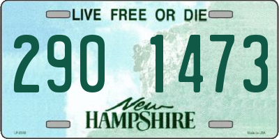 NH license plate 2901473