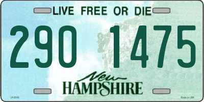 NH license plate 2901475