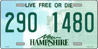 NH license plate 2901480