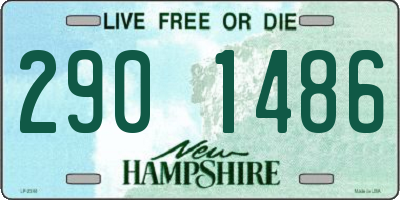 NH license plate 2901486