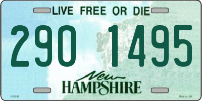 NH license plate 2901495