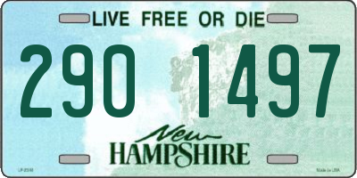 NH license plate 2901497