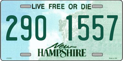 NH license plate 2901557