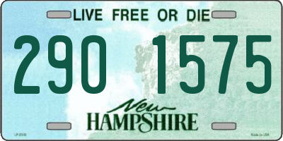 NH license plate 2901575