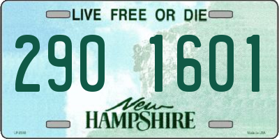 NH license plate 2901601