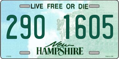 NH license plate 2901605
