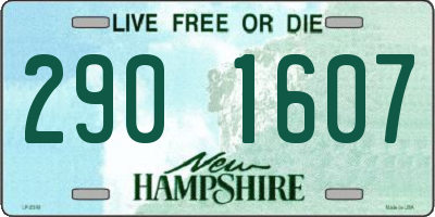 NH license plate 2901607