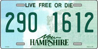 NH license plate 2901612