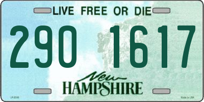 NH license plate 2901617