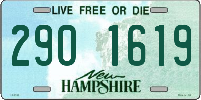 NH license plate 2901619