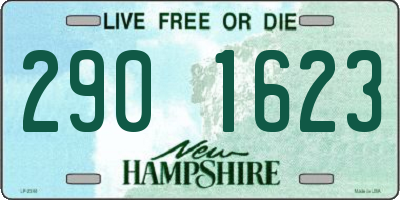 NH license plate 2901623