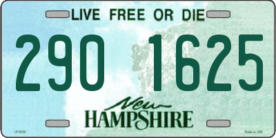 NH license plate 2901625