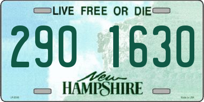 NH license plate 2901630