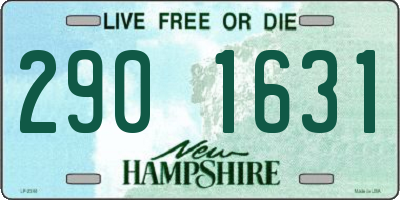 NH license plate 2901631