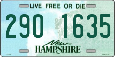 NH license plate 2901635