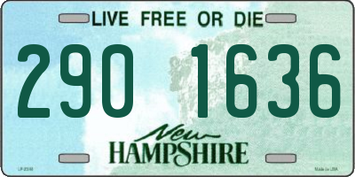 NH license plate 2901636