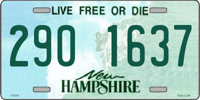NH license plate 2901637