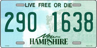 NH license plate 2901638