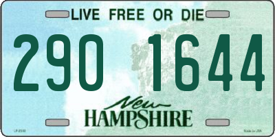 NH license plate 2901644