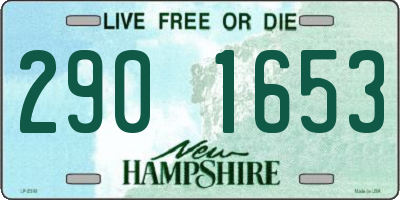 NH license plate 2901653
