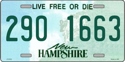 NH license plate 2901663