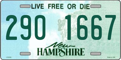 NH license plate 2901667