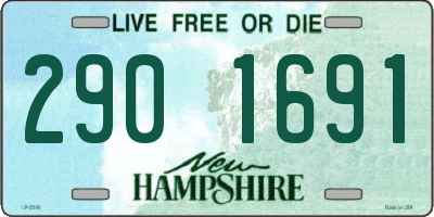 NH license plate 2901691