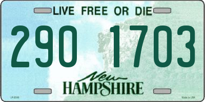 NH license plate 2901703