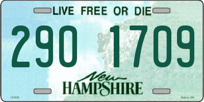 NH license plate 2901709
