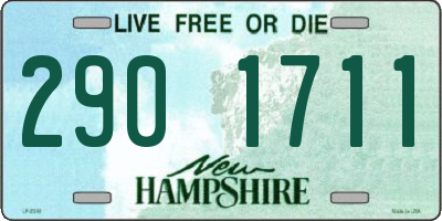 NH license plate 2901711