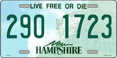 NH license plate 2901723