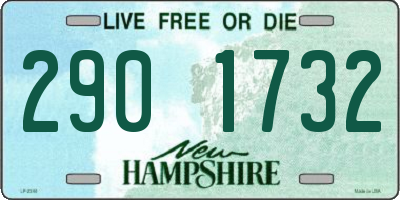 NH license plate 2901732
