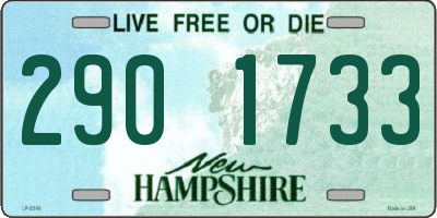 NH license plate 2901733