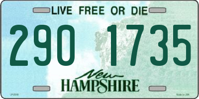 NH license plate 2901735