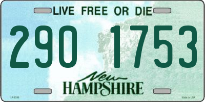 NH license plate 2901753