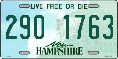 NH license plate 2901763