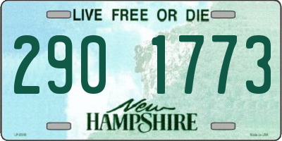 NH license plate 2901773