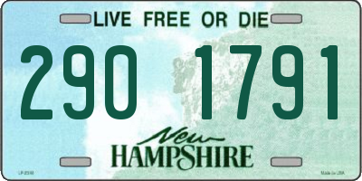 NH license plate 2901791