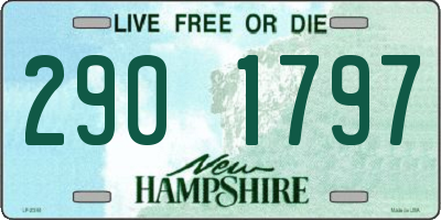 NH license plate 2901797