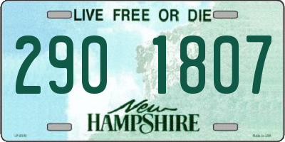 NH license plate 2901807