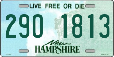 NH license plate 2901813