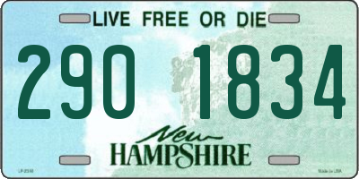 NH license plate 2901834