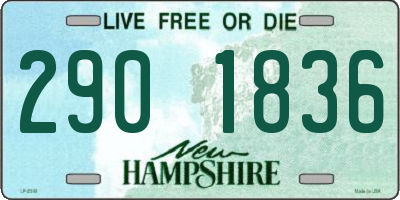 NH license plate 2901836