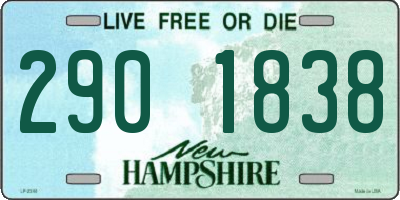 NH license plate 2901838
