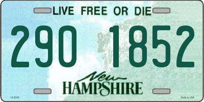 NH license plate 2901852
