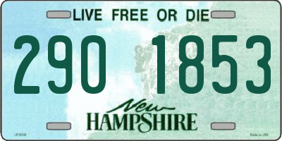 NH license plate 2901853