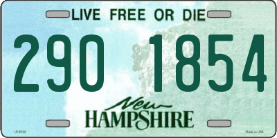 NH license plate 2901854